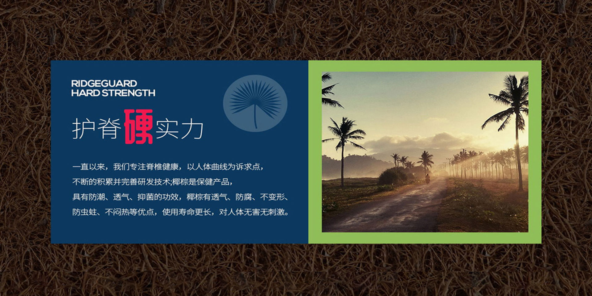 91视频在线免费