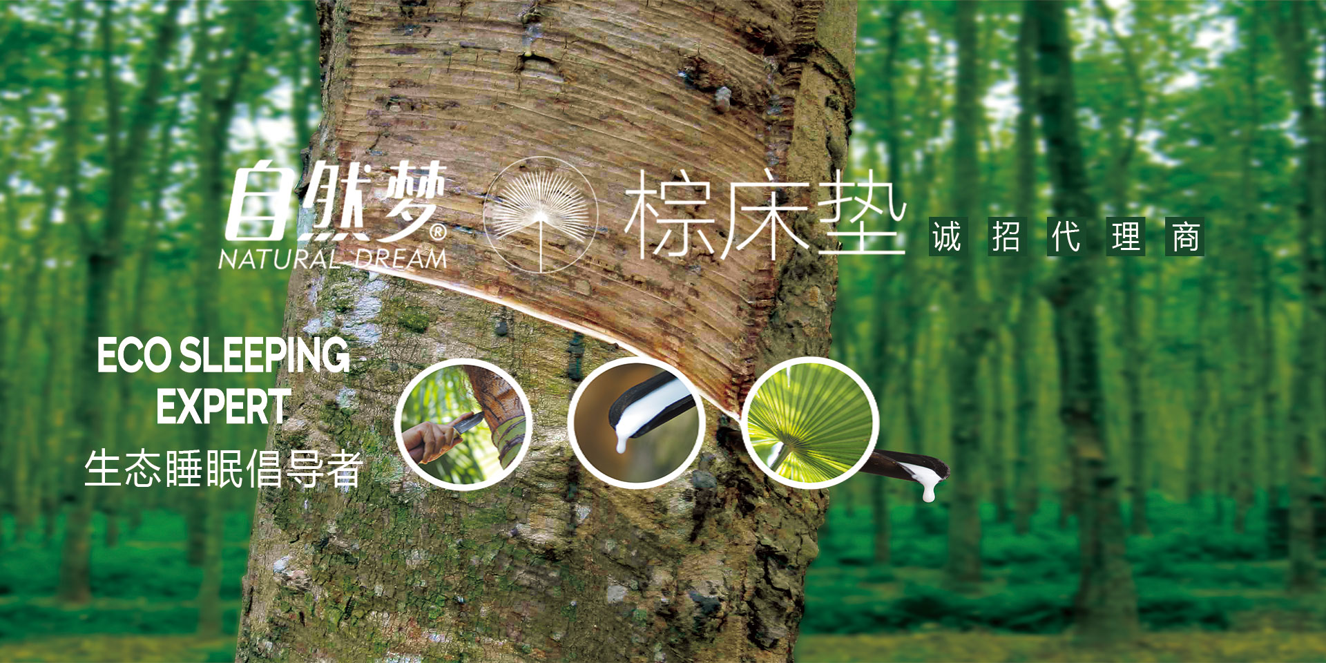 91视频在线免费