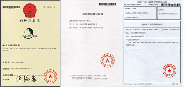 91视频在线免费