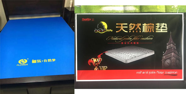 91视频在线免费