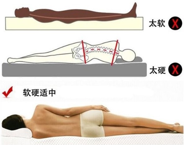 91视频在线免费