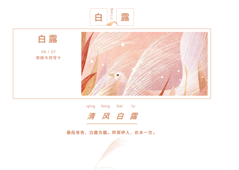 91视频在线免费