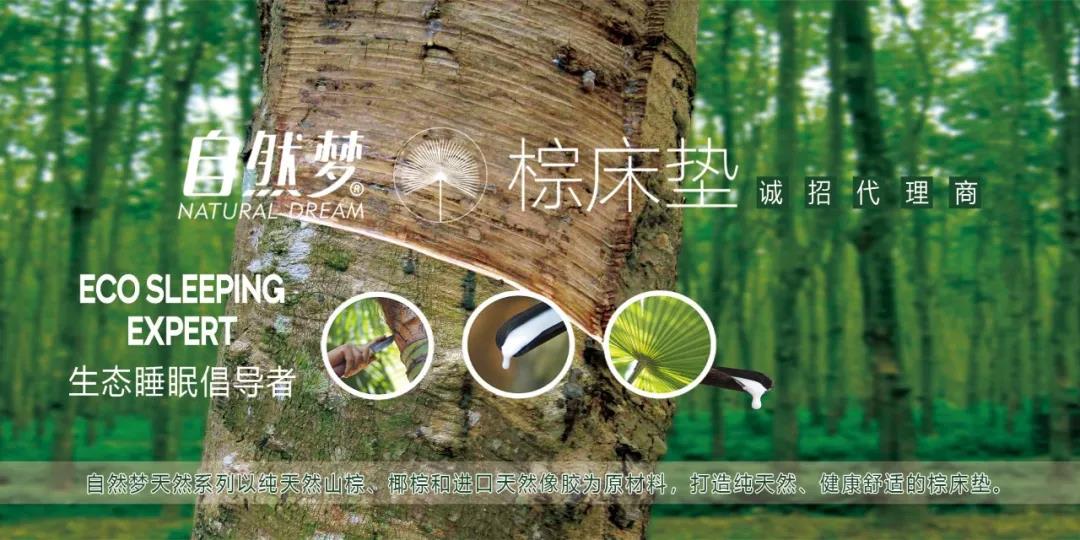 91视频在线免费